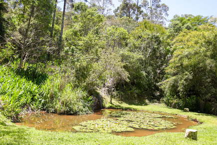 LAGUINHO